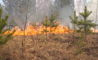 Valsts mežos noteikts ugunsnedrošs periods